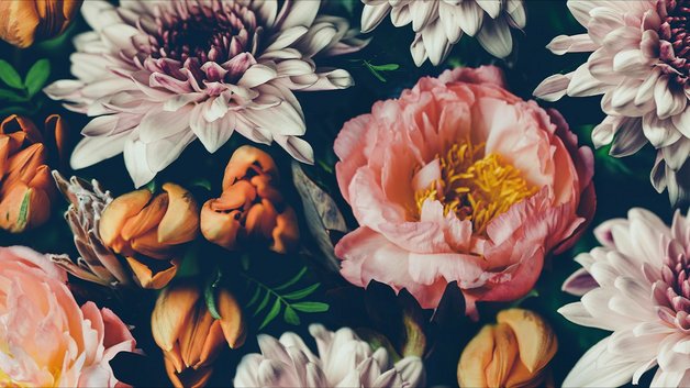 Baggrunden er fyldt med en varieret samling af blomster i forskellige farver. Der er pastel- og dybtonede blomster som pæoner, tulipaner og krysantemum, hvilket skaber et levende og farverigt mønster.