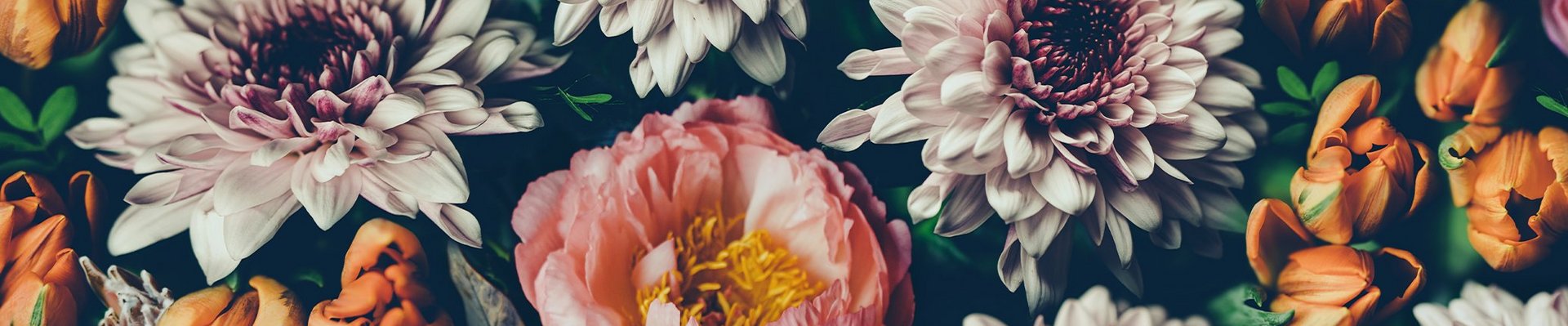 Baggrunden er fyldt med en varieret samling af blomster i forskellige farver. Der er pastel- og dybtonede blomster som pæoner, tulipaner og krysantemum, hvilket skaber et levende og farverigt mønster.